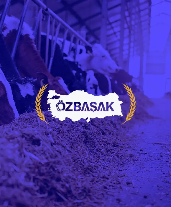 Hakkımızda